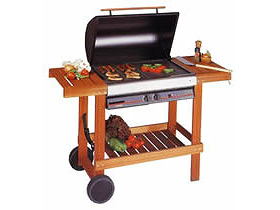 Barbecue gaz 