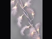 Rideaux lumineux de plumes