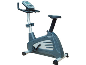 v&eacute;lo d'appartement performer 460500 care