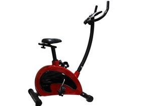 v&eacute;lo magn&eacute;tique 16 programmes