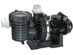 Pompe piscine "Sta-rite P6R" - 3/4 CV triphas� 
