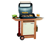 Barbecue gaz "RBS Woody" - 8 kw