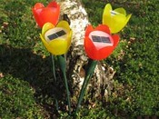 Lot de 2 tulipes solaires " COLORS OF SEASON"