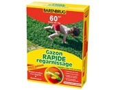 Gazon Rapide