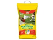 Gazon Rennovation