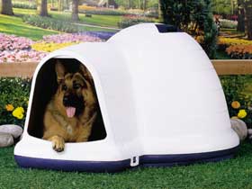 Niche chien Indigo 