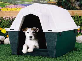 Niche chien 