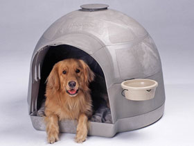 Niche chien 