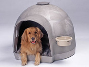 Niche chien "Kd Pro" Large