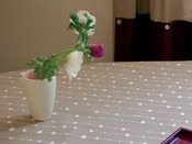  Nappe - Taupe - 150 x 150 cm