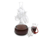Service "Oporto" - Carafe à décanter + 4 verres