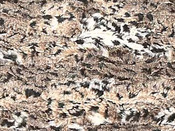 Coussin "Lionceau"